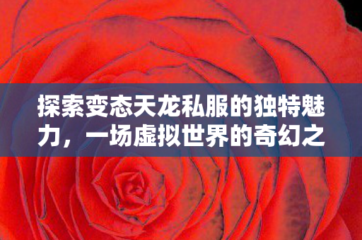 探索变态天龙私服的独特魅力，一场虚拟世界的奇幻之旅，变态天龙私服，开启虚拟世界的奇幻之旅