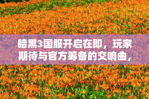 暗黑3国服开启在即，玩家期待与官方筹备的交响曲，暗黑3国服即将开启，玩家期待与官方筹备的交响曲