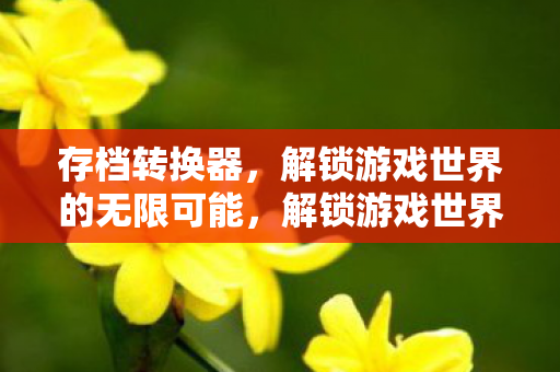 存档转换器,解锁游戏世界的无限可能,解锁游戏世界,存档转换器助你畅玩无阻 存档转换器,解锁游戏世界的无限可能,解锁游戏世界,存档转换器助你畅玩无阻