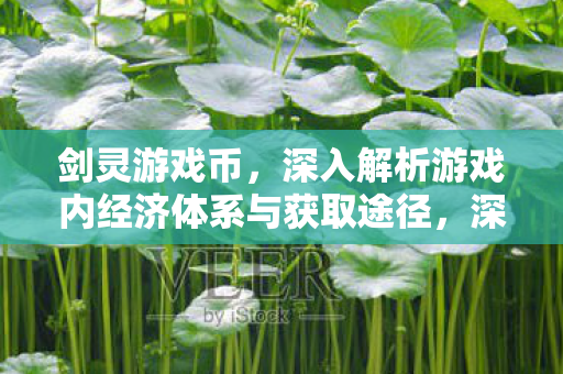 深入解析游戏内经济体系与获取途径图片