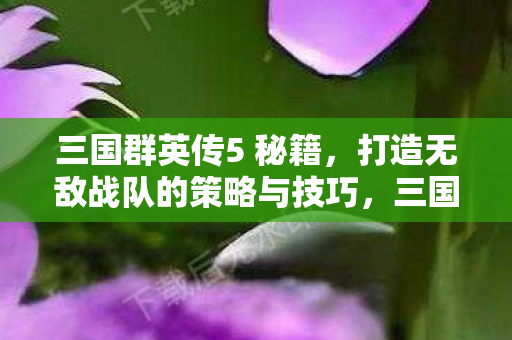 三国群英传5 秘籍,打造无敌战队的策略与技巧,三国群英传5秘籍,打造无敌战队的策略与技巧全解析 三国群英传5 秘籍,打造无敌战队的策略与技巧,三国群英传5秘籍,打造无敌战队的策略与技巧全解析