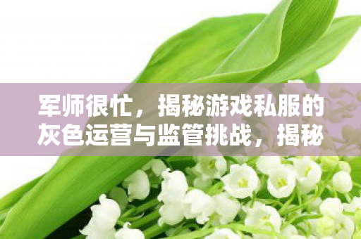 军师很忙，揭秘游戏私服的灰色运营与监管挑战，揭秘游戏私服灰色运营与监管挑战