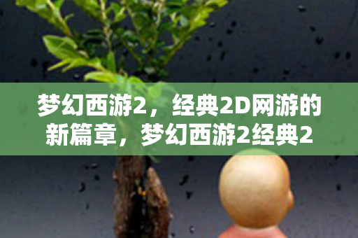 梦幻西游2，经典2D网游的新篇章，梦幻西游2经典2D网游新篇章开启