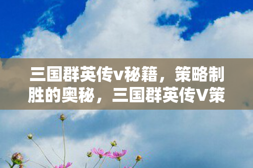 三国群英传v秘籍，策略制胜的奥秘，三国群英传V策略制胜秘籍，掌握制胜奥秘