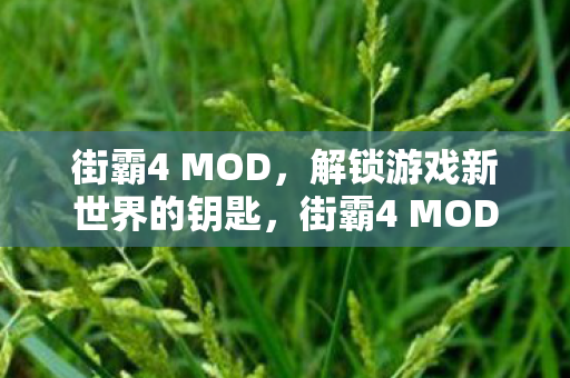 街霸4 MOD,解锁游戏新世界的钥匙,街霸4 MOD,解锁游戏新世界的大门 街霸4 MOD,解锁游戏新世界的钥匙,街霸4 MOD,解锁游戏新世界的大门