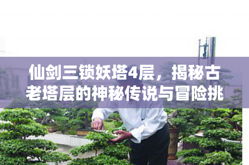 揭秘古老塔层的神秘传说与冒险挑战图片