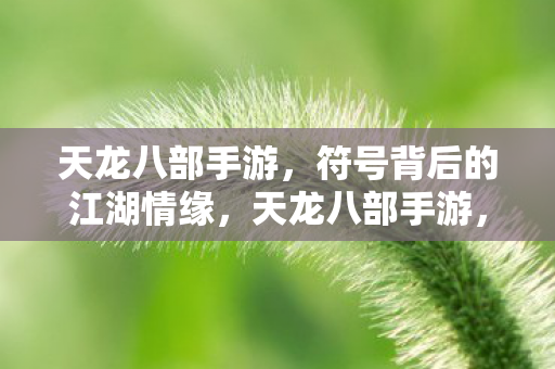 符号背后的江湖情缘图片