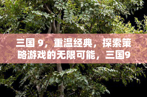 三国 9,重温经典,探索策略游戏的无限可能,三国9,重温经典,探索策略游戏的无限可能 三国 9,重温经典,探索策略游戏的无限可能,三国9,重温经典,探索策略游戏的无限可能