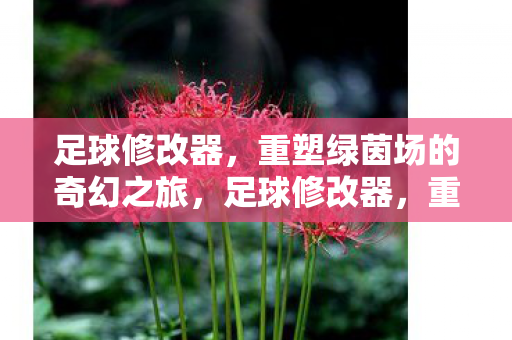 足球修改器，重塑绿茵场的奇幻之旅，足球修改器，重塑绿茵场的奇幻之旅