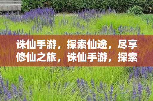 尽享修仙之旅图片