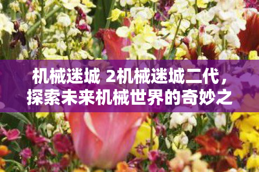 机械迷城 2机械迷城二代,探索未来机械世界的奇妙之旅,机械迷城二代,探索未来机械世界的奇妙之旅 机械迷城 2机械迷城二代,探索未来机械世界的奇妙之旅,机械迷城二代,探索未来机械世界的奇妙之旅