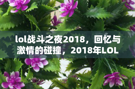 lol战斗之夜2018，回忆与激情的碰撞，2018年LOL战斗之夜，回忆与激情的碰撞