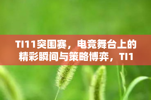 TI11突围赛，电竞舞台上的精彩瞬间与策略博弈，TI11突围赛，电竞舞台上的精彩瞬间与策略博弈