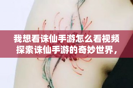 我想看诛仙手游怎么看视频探索诛仙手游的奇妙世界图片