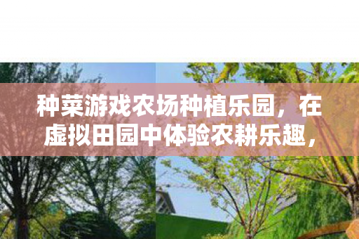 种菜游戏农场种植乐园，在虚拟田园中体验农耕乐趣，虚拟田园，种菜游戏带你体验农耕乐趣