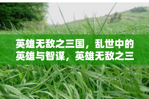 英雄无敌之三国,乱世中的英雄与智谋,英雄无敌之三国乱世英雄智谋对决 英雄无敌之三国,乱世中的英雄与智谋,英雄无敌之三国乱世英雄智谋对决
