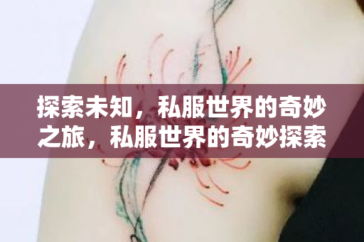 探索未知,私服世界的奇妙之旅,私服世界的奇妙探索之旅 探索未知,私服世界的奇妙之旅,私服世界的奇妙探索之旅