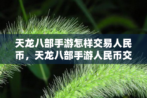 天龙八部手游怎样交易人民币图片