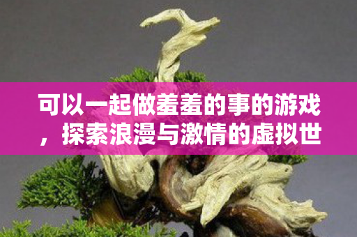 可以一起做羞羞的事的游戏，探索浪漫与激情的虚拟世界，探索浪漫虚拟世界，一起做游戏中的羞羞事