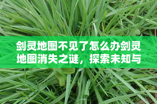 剑灵地图不见了怎么办剑灵地图消失之谜图片