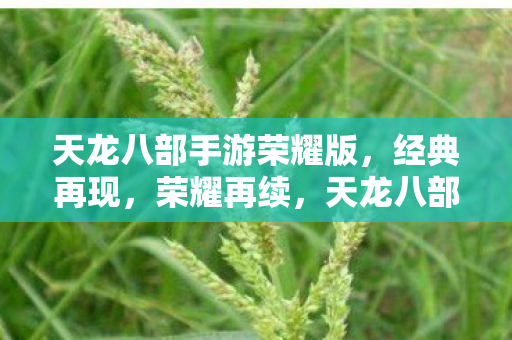 天龙八部手游荣耀版经典再现图片