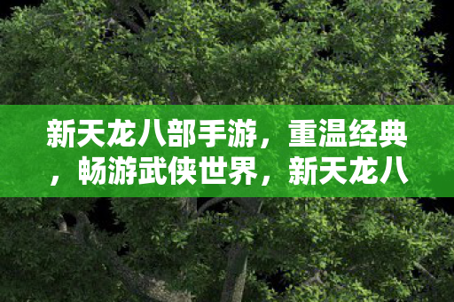 新天龙八部手游图片