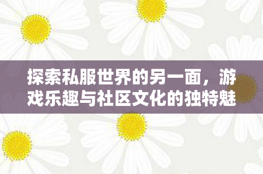 探索私服世界的另一面,游戏乐趣与社区文化的独特魅力,探索私服世界的另一面,游戏乐趣与社区文化的独特魅力 探索私服世界的另一面,游戏乐趣与社区文化的独特魅力,探索私服世界的另一面,游戏乐趣与社区文化的独特魅力