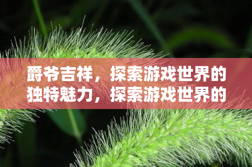 爵爷吉祥，探索游戏世界的独特魅力，探索游戏世界的独特魅力，爵爷吉祥