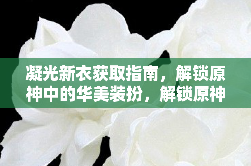 凝光新衣获取指南，解锁原神中的华美装扮，解锁原神华美装扮，凝光新衣获取指南