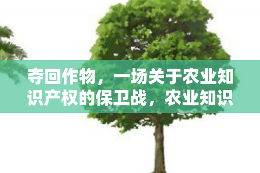 夺回作物，一场关于农业知识产权的保卫战，农业知识产权保卫战，夺回作物
