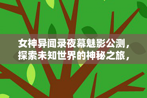 女神异闻录夜幕魅影公测，探索未知世界的神秘之旅，女神异闻录夜幕魅影公测开启，探索神秘世界之旅
