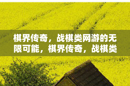 棋界传奇,战棋类网游的无限可能,棋界传奇,战棋类网游的无限可能 棋界传奇,战棋类网游的无限可能,棋界传奇,战棋类网游的无限可能