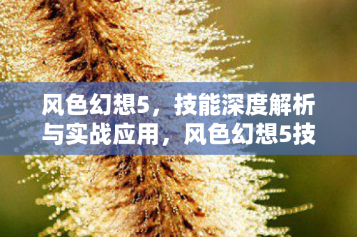 风色幻想5,技能深度解析与实战应用,风色幻想5技能深度解析与实战应用全攻略 风色幻想5,技能深度解析与实战应用,风色幻想5技能深度解析与实战应用全攻略