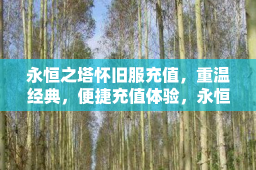 永恒之塔怀旧服便捷充值图片