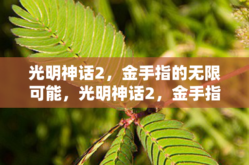 光明神话2，金手指的无限可能，光明神话2，金手指解锁无限可能