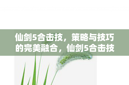 仙剑5合击技,策略与技巧的完美融合,仙剑5合击技,策略与技巧的完美融合 仙剑5合击技,策略与技巧的完美融合,仙剑5合击技,策略与技巧的完美融合
