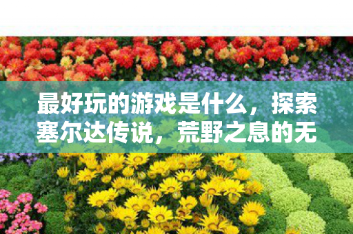 最好玩的游戏是什么，探索塞尔达传说，荒野之息的无限可能，探索无限可能，塞尔达传说荒野之息成为最好玩的游戏