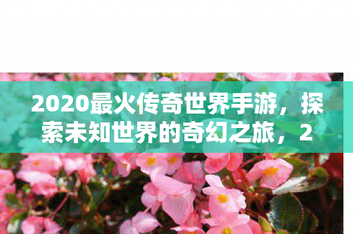 2020最火传奇世界手游图片