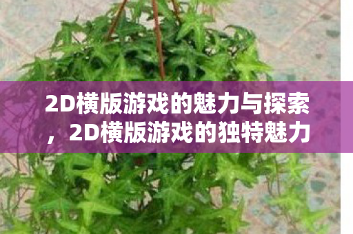 2D横版游戏的魅力与探索，2D横版游戏的独特魅力与探索之旅