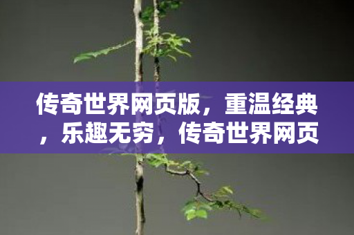 传奇世界网页版图片