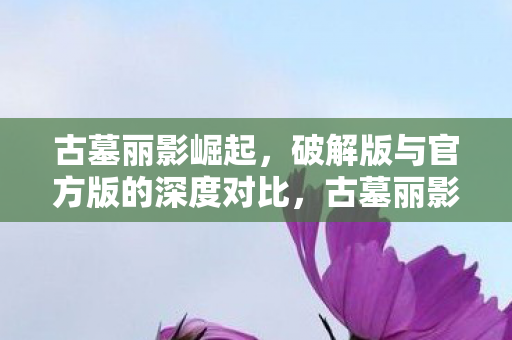 古墓丽影崛起破解版与官方版深度对比图片