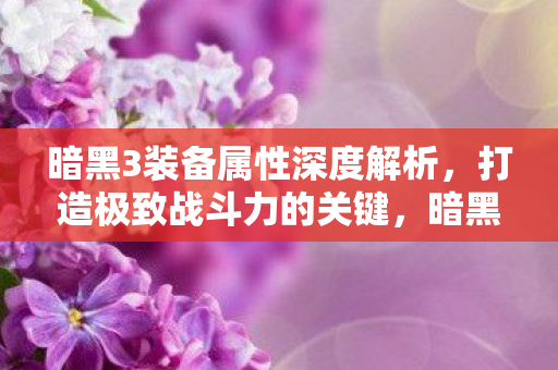 暗黑3装备属性深度解析，打造极致战斗力的关键，暗黑3，装备属性深度解析，助你打造极致战斗力