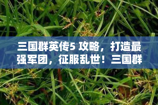 三国群英传5 攻略，打造最强军团，征服乱世！三国群英传5攻略，打造最强军团，征服乱世