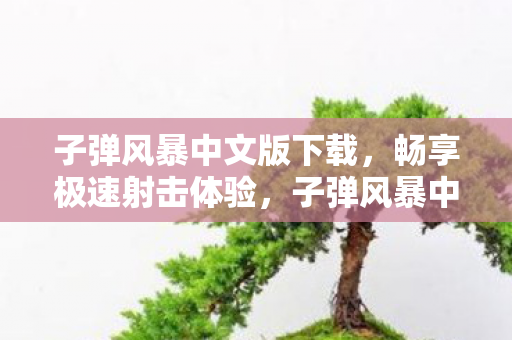 子弹风暴中文版下载，畅享极速射击体验，子弹风暴中文版下载，极速射击，畅享游戏盛宴