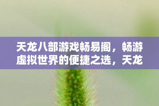 天龙八部游戏畅易阁，畅游虚拟世界的便捷之选，天龙八部畅易阁，畅游虚拟世界的便捷选择