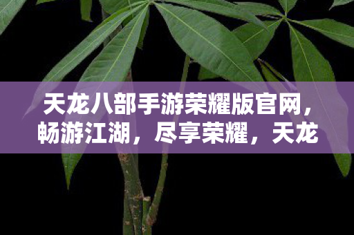 天龙八部手游荣耀版官网图片