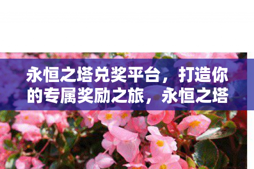 永恒之塔兑奖平台，打造你的专属奖励之旅，永恒之塔兑奖平台，开启你的专属奖励之旅