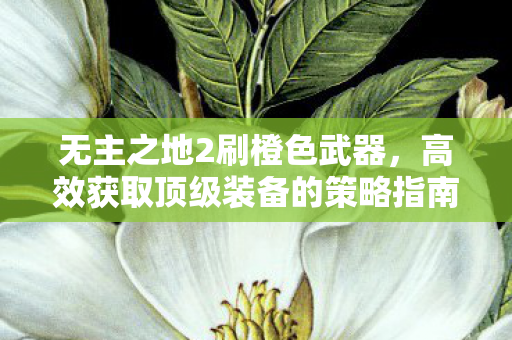 无主之地2刷橙色武器，高效获取顶级装备的策略指南，无主之地2顶级装备获取攻略，高效刷橙色武器策略