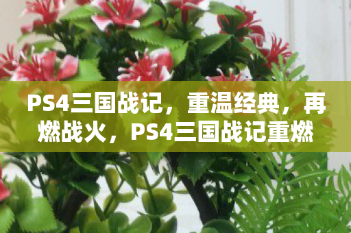 PS4三国战记，重温经典，再燃战火，PS4三国战记重燃战火，经典再现
