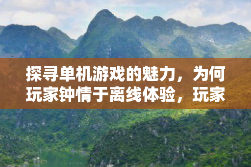 探寻单机游戏的魅力，为何玩家钟情于离线体验，玩家为何钟情于单机游戏的离线体验？